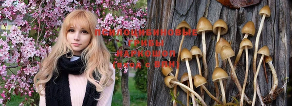 мдпв Беломорск