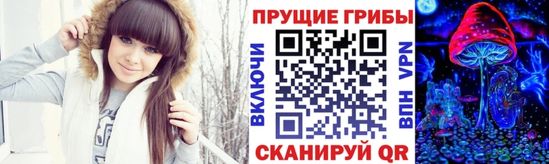 Псилоцибиновые грибы Cubensis  закладка  Северобайкальск 