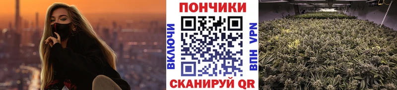 Бошки Шишки марихуана  Северобайкальск 